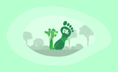 What Is the Carbon Footprint of Celery? A Life-Cycle Analysis