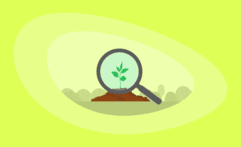 Afforestation Carbon Offsets Explained: All You Need to Know