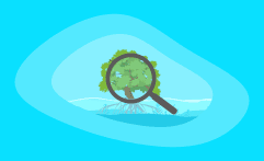 Blue Carbon Offsets Explained: All You Need to Know