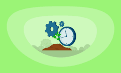 How Effective & Efficient Are Afforestation Carbon Offsets? Here Are the Facts