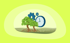 How Effective & Efficient Are Blue Carbon Offsets? Here Are the Facts