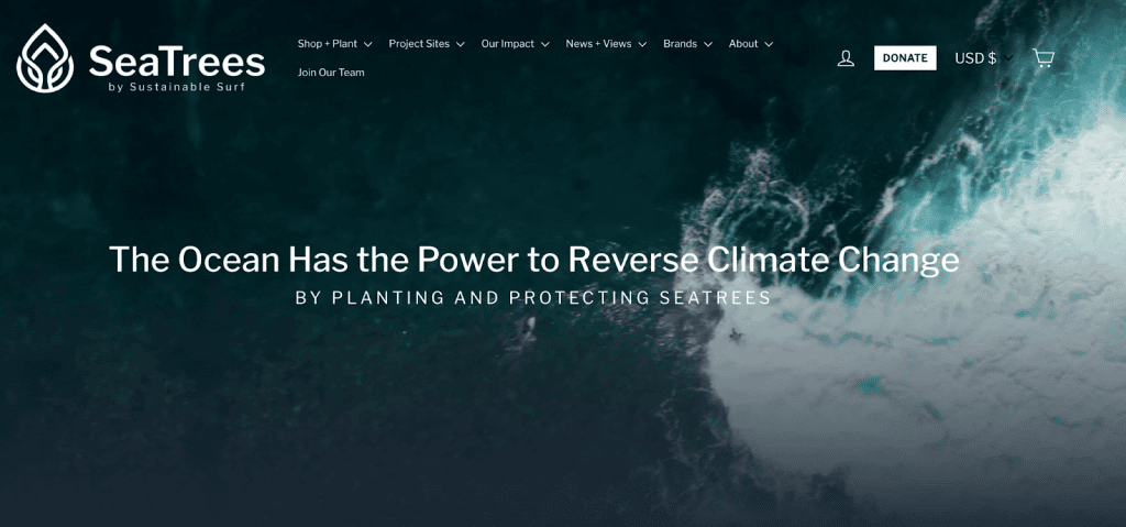 Screenshot of the SeaTrees front page
