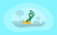 What Is the Carbon Footprint of Bananas? A Life-Cycle Analysis