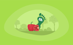 What Is the Carbon Footprint of Bell Peppers? A Life-Cycle Analysis