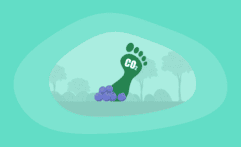 What Is the Carbon Footprint of Blueberries? A Life-Cycle Analysis