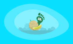 What Is the Carbon Footprint of Cantaloupes? A Life-Cycle Analysis