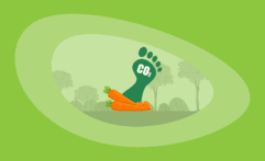 What Is the Carbon Footprint of Carrots? A Life-Cycle Analysis