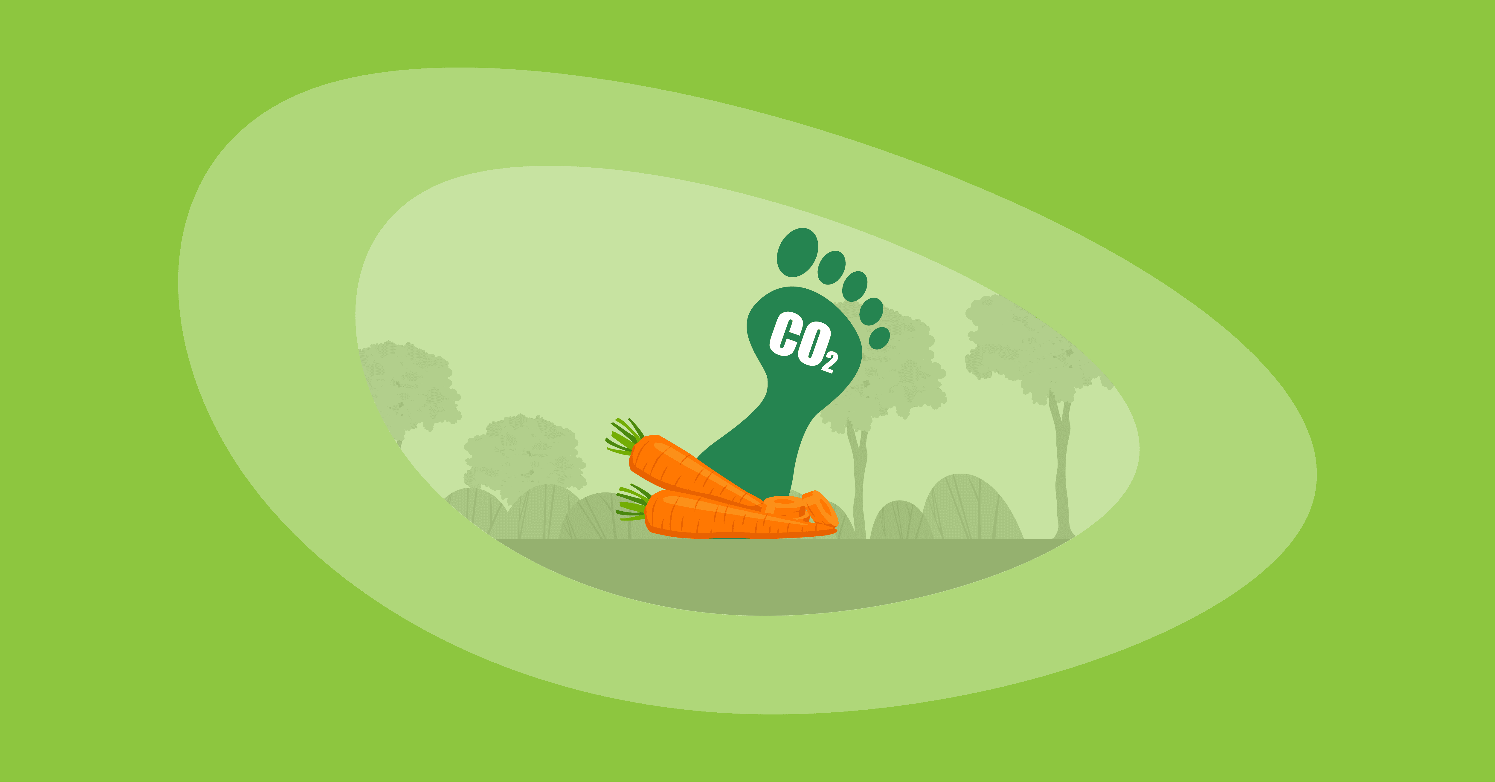 Attempted illustration of carrots with their carbon footprint