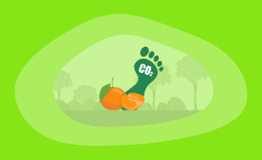 What Is the Carbon Footprint of Clementines? A Life-Cycle Analysis