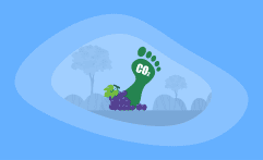 What Is the Carbon Footprint of Grapes? A Life-Cycle Analysis