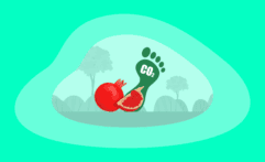 What Is the Carbon Footprint of Pomegranates? A Life-Cycle Analysis
