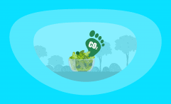 What Is the Carbon Footprint of Salad Mix? A Life-Cycle Analysis