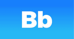 Barbara Bush Foundation for Family Literacy logo
