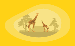 9 Best Charities for Protecting Giraffes (Complete 2025 List)