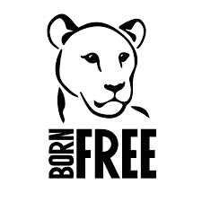 Born Free Foundation - logo Logo for Born Free Foundation