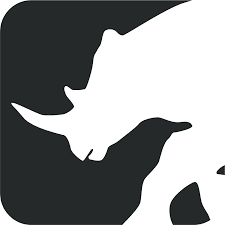 International Anti-Poaching Foundation - logo Logo for International Anti-Poaching Foundation