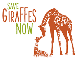 Save Giraffes Now - logo Logo for Save Giraffes Now