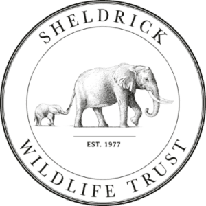 Sheldrick Wildlife Trust - logo Logo for Sheldrick Wildlife Trust