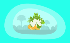 The Environmental Impact of Bananas: From Farm to Table