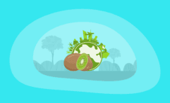 The Environmental Impact of Kiwis: From Farm to Table