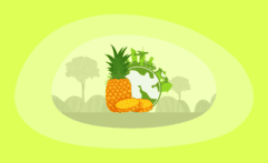 The Environmental Impact of Pineapples: From Farm to Table