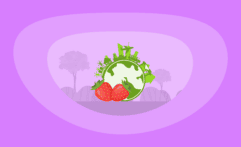 The Environmental Impact of Strawberries: From Farm to Table