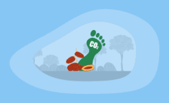 What Is the Carbon Footprint of Dates? A Life-Cycle Analysis