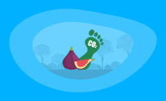 What Is the Carbon Footprint of Figs? A Life-Cycle Analysis
