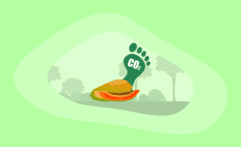 What Is the Carbon Footprint of Papayas? A Life-Cycle Analysis