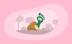 What Is the Carbon Footprint of Potatoes? A Life-Cycle Analysis
