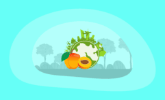 The Environmental Impact of Apricots: From Farm to Table