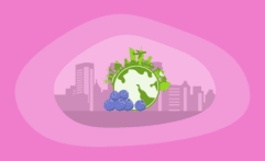 The Environmental Impact of Blueberries: From Farm to Table