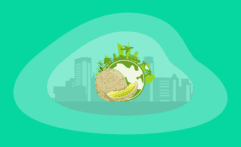 The Environmental Impact of Cantaloupes: From Farm to Table