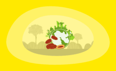 The Environmental Impact of Dates: From Farm to Table