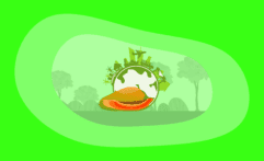 The Environmental Impact of Papayas: From Farm to Table