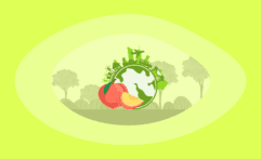 The Environmental Impact of Peaches: From Farm to Table