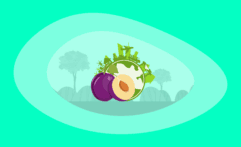 The Environmental Impact of Plums: From Farm to Table