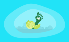 What Is the Carbon Footprint of Cabbage? A Life-Cycle Analysis
