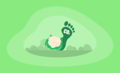 What Is the Carbon Footprint of Cauliflower? A Life-Cycle Analysis