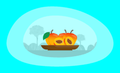 Is Eating Apricots Ethical & Sustainable? Here Are the Facts