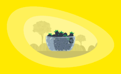 Is Eating Blackberries Ethical & Sustainable? Here Are the Facts