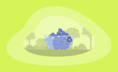 Is Eating Blueberries Ethical & Sustainable? Here Are the Facts