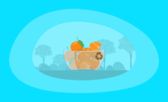 Is Eating Clementines Ethical & Sustainable? Here Are the Facts