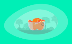 Is Eating Grapefruits Ethical & Sustainable? Here Are the Facts
