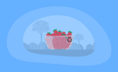 Is Eating Raspberries Ethical & Sustainable? Here Are the Facts