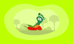 What Is the Carbon Footprint of Chili Peppers? A Life-Cycle Analysis