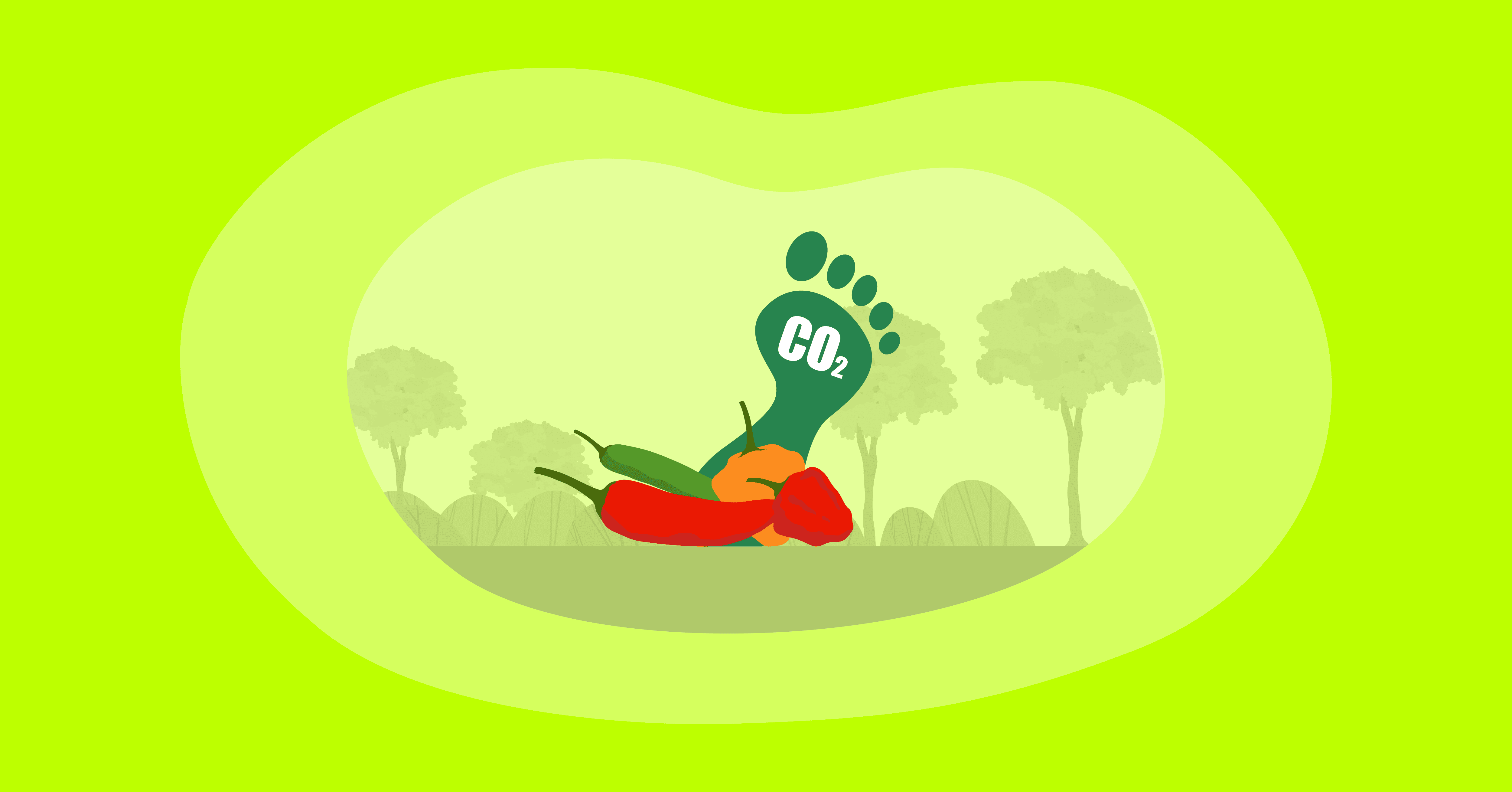 Illustration of chili peppers with their carbon footprint