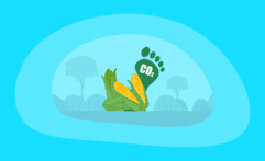 What Is the Carbon Footprint of Corn? A Life-Cycle Analysis