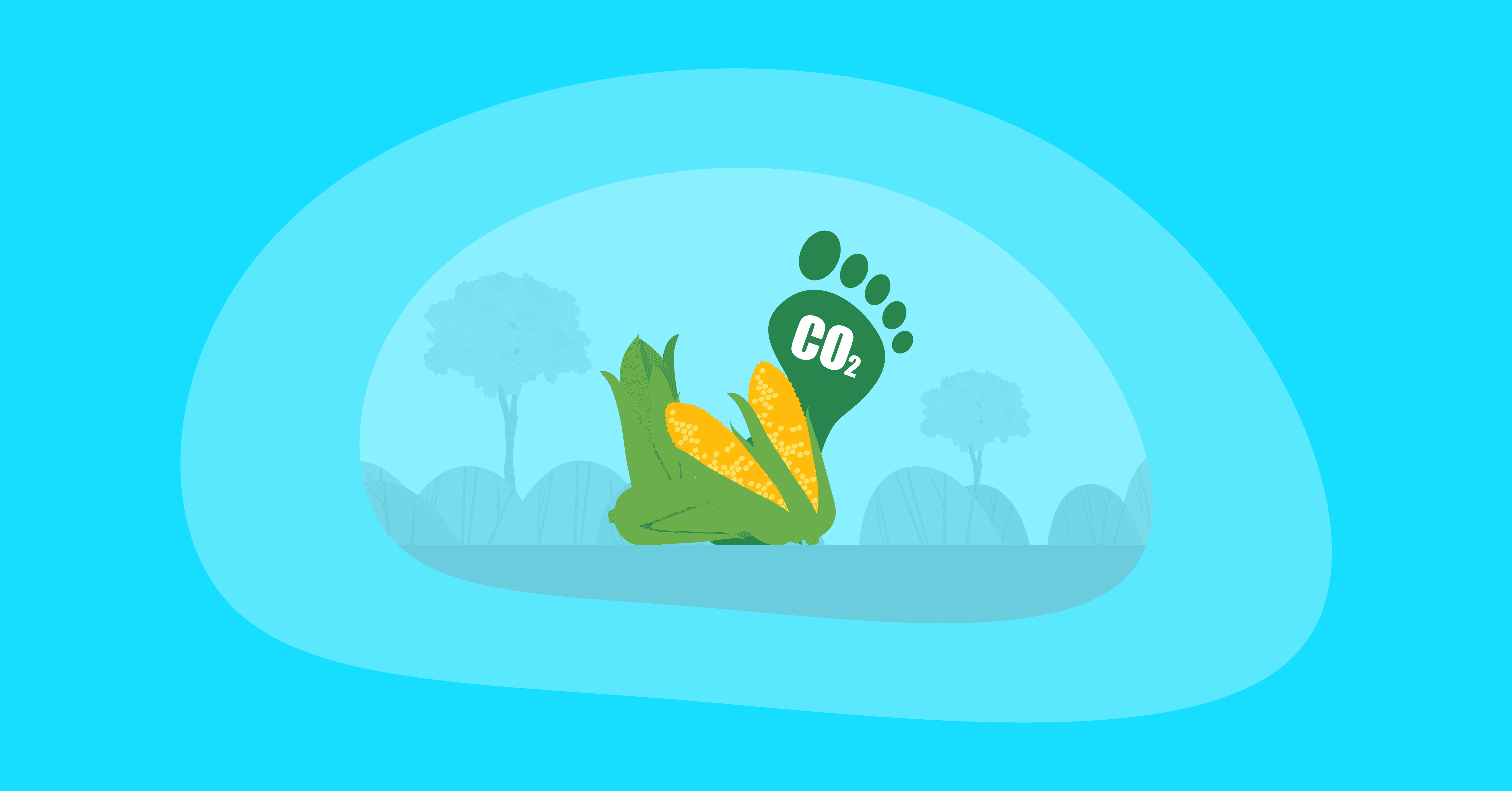 Illustration of corns with their footprint