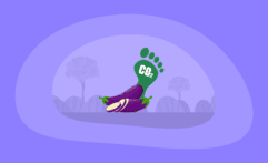 What Is the Carbon Footprint of Eggplants? A Life-Cycle Analysis